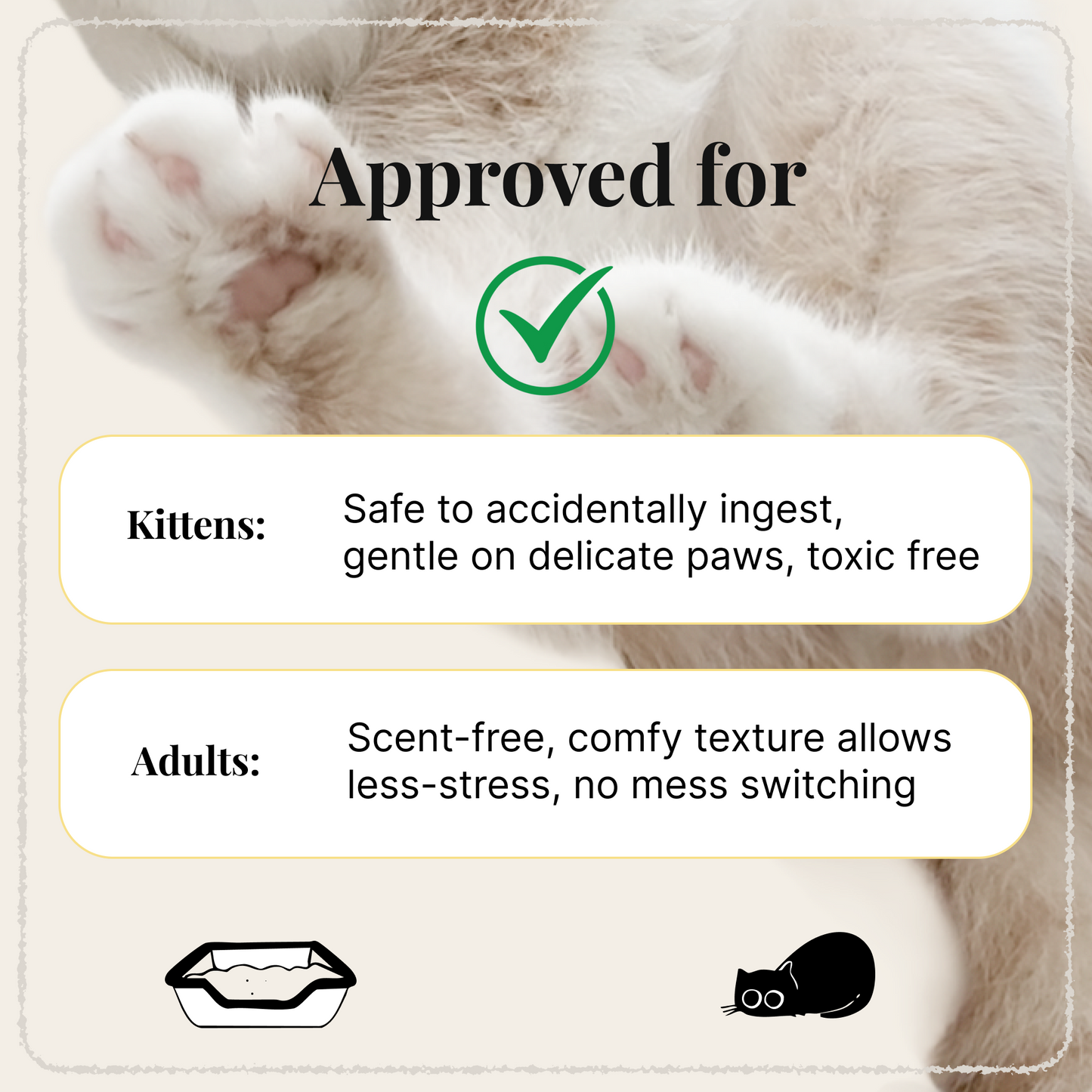 Approved for kittens and adults